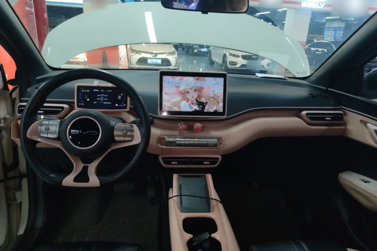 Used BYD Seagull 2023 Free Edition Center Console