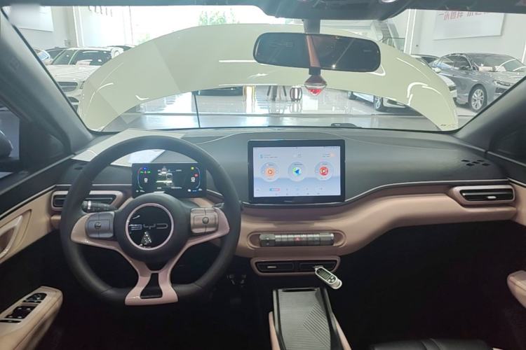 Used BYD Seagull 2023 Active Version Center Console
