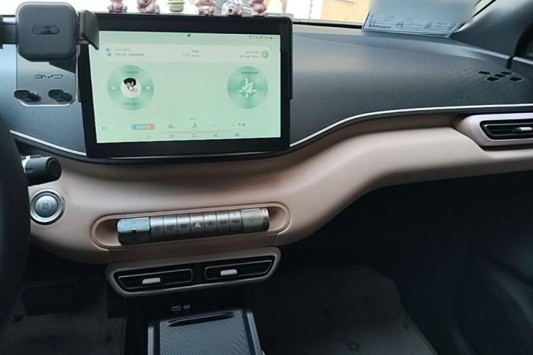 Used BYD Seagull 2023 Active Version Center Console