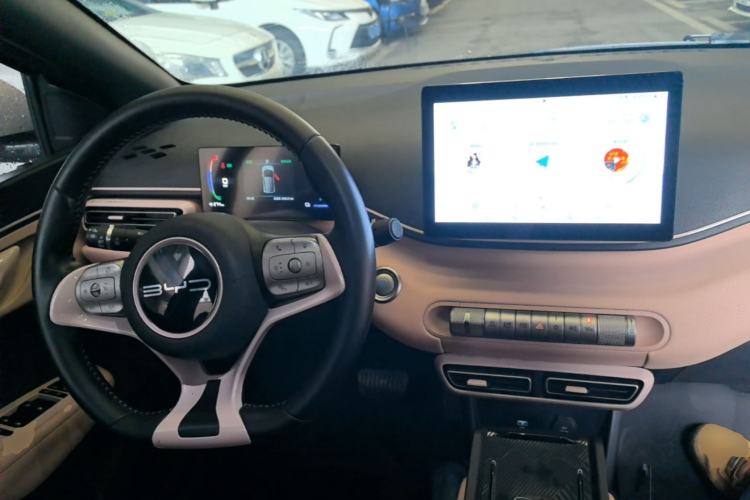 Used BYD Seagull 2023 Flying Edition Center Console