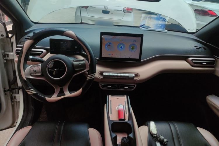 Used BYD Seagull 2023 Active Version Center Console