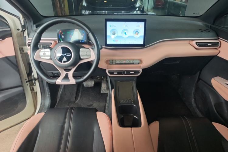 Used BYD Seagull 2023 Active Version Center Console