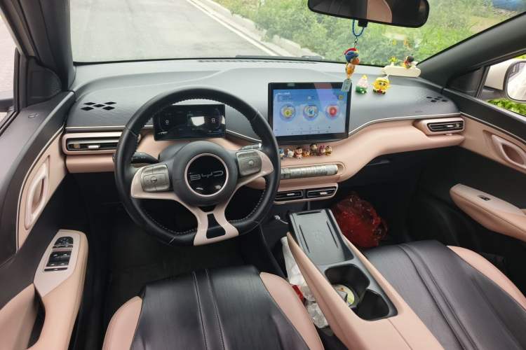 Used BYD Seagull 2023 Flying Edition Center Console