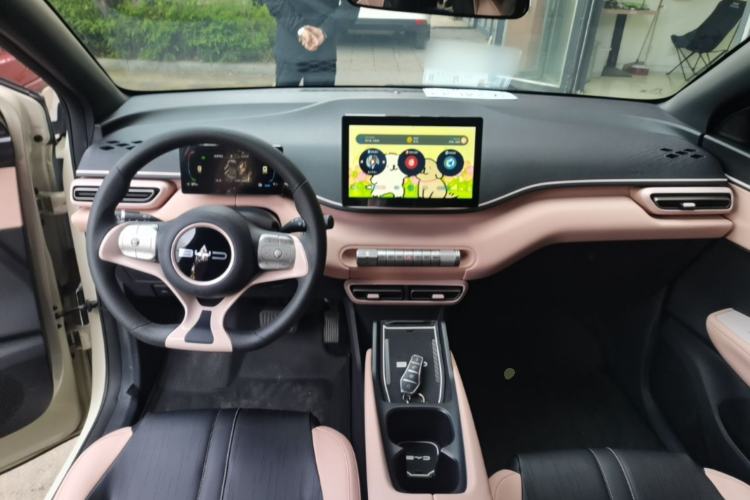 Used BYD Seagull 2023 Active Version Center Console