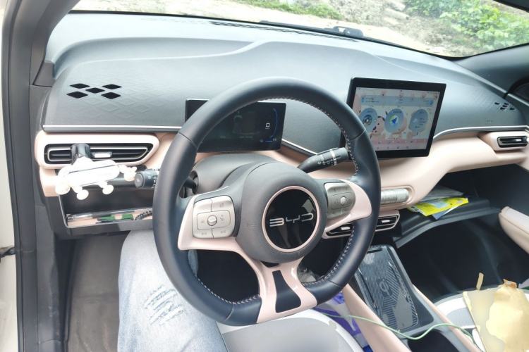 Used BYD Seagull 2023 Flying Edition Center Console
