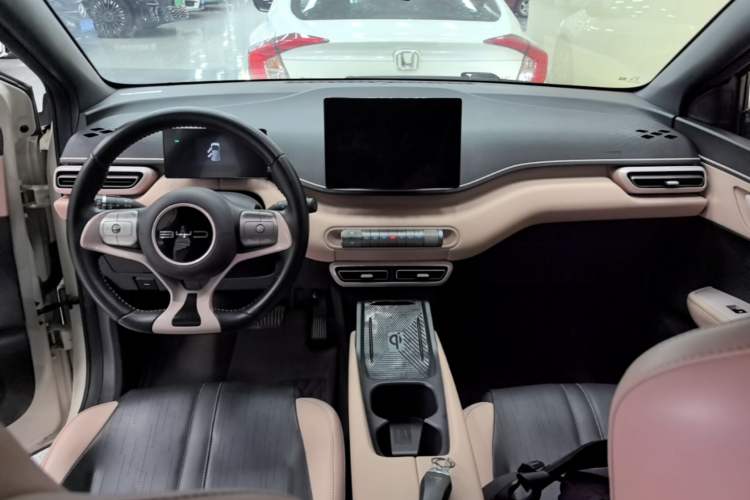 Used BYD Seagull 2023 Free Edition Center Console