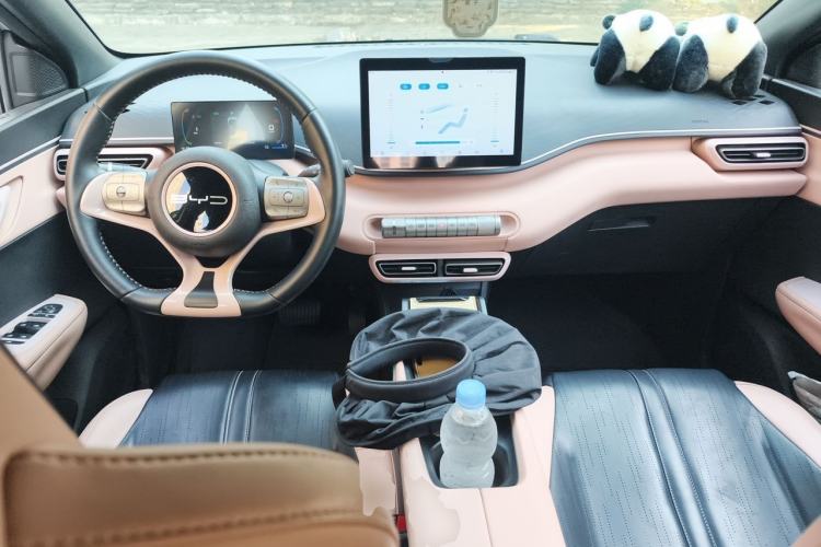 Used BYD Seagull 2023 Flying Edition Center Console