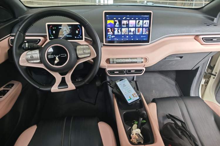 Used BYD Seagull 2023 Free Edition Center Console