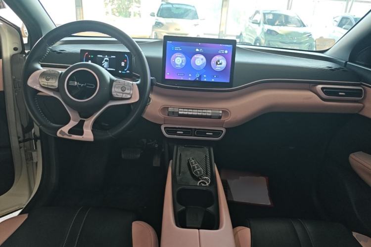 Used BYD Seagull 2023 Free Edition Center Console