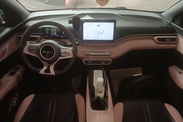 Used BYD Seagull 2023 Active Version Center Console