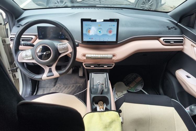 Used BYD Seagull 2023 Flying Edition Center Console