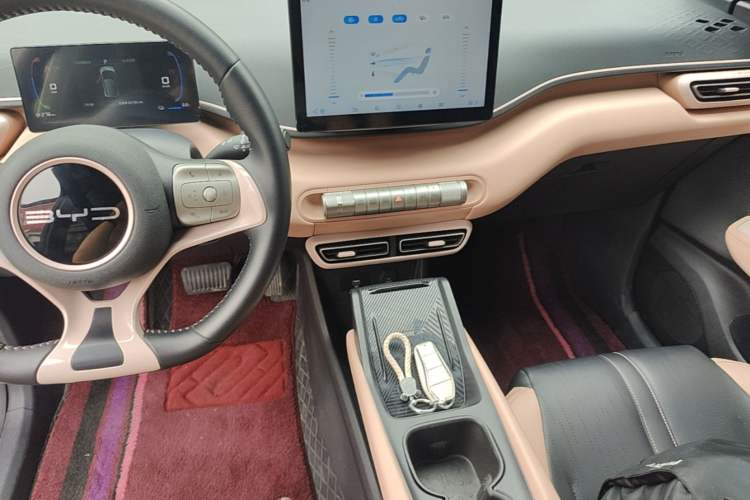 Used BYD Seagull 2023 Flying Edition Center Console