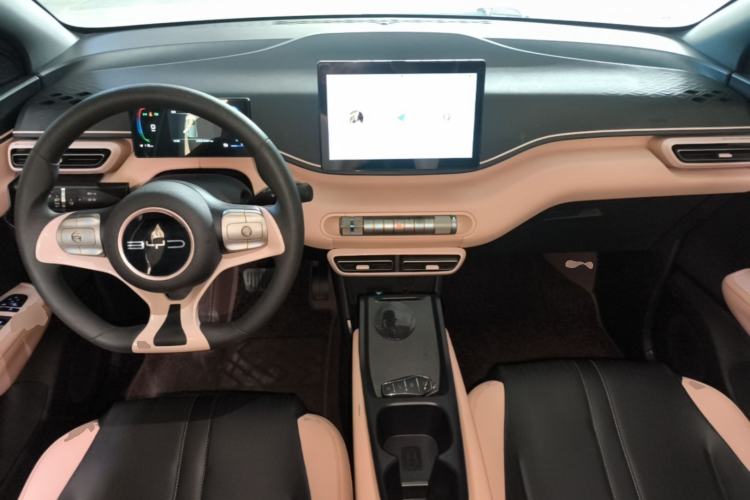 Used BYD Seagull 2023 Active Version Center Console
