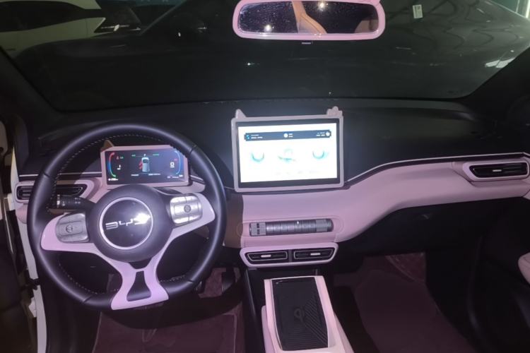 Used BYD Seagull 2023 Flying Edition Center Console