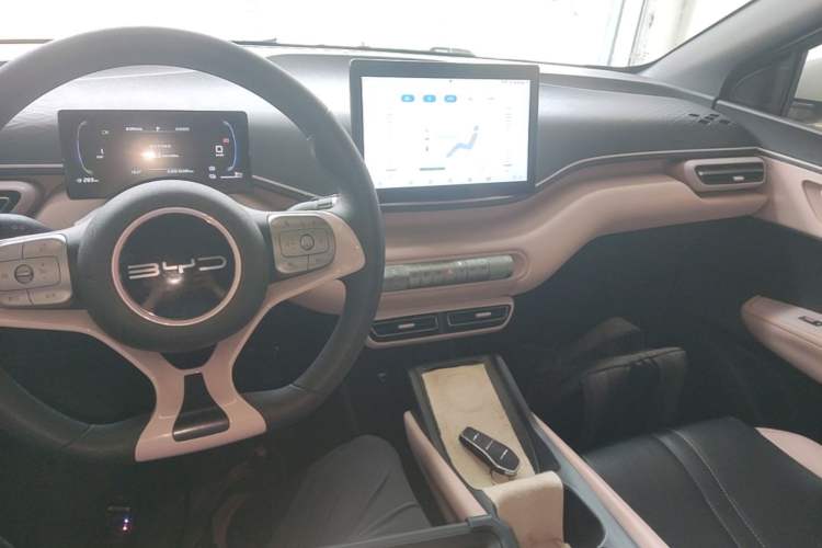 Used BYD Seagull 2023 Active Version Center Console