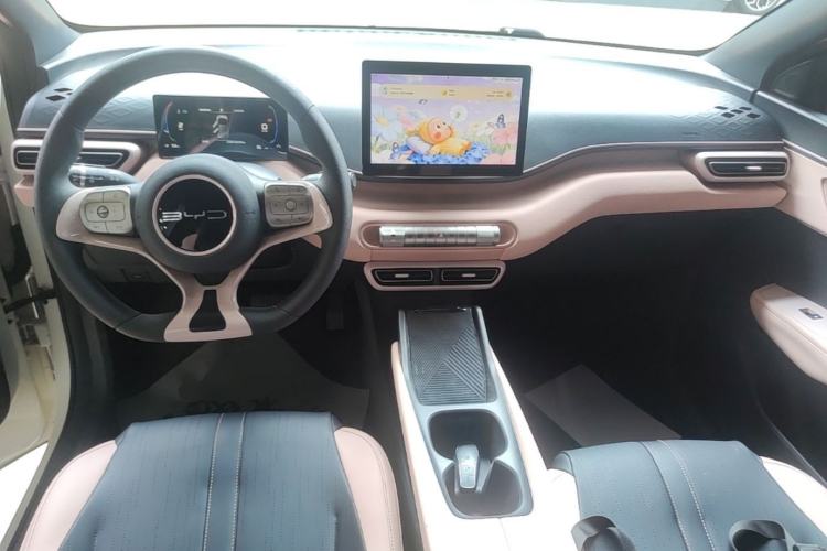 Used BYD Seagull 2023 Active Version Center Console