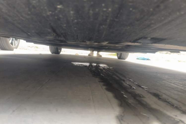 Used BYD Seagull 2023 Flying Edition Chassis Front