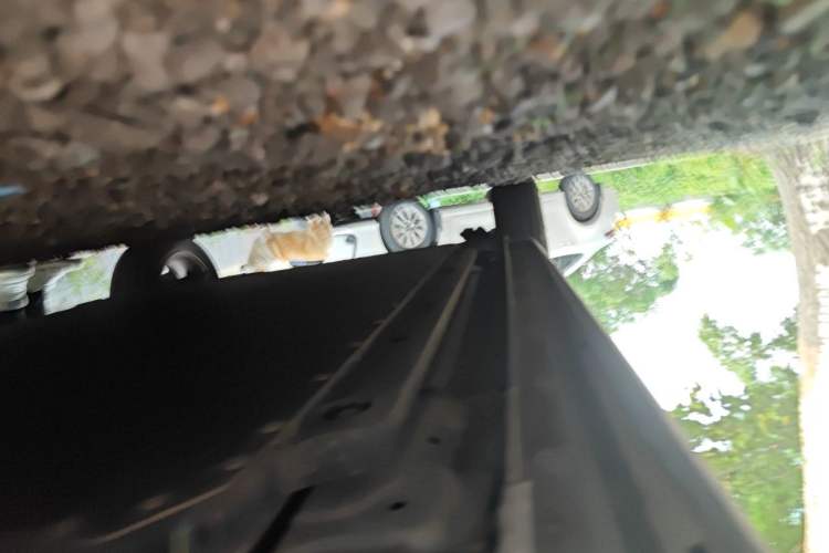 Used BYD Seagull 2023 Flying Edition Chassis Front Right