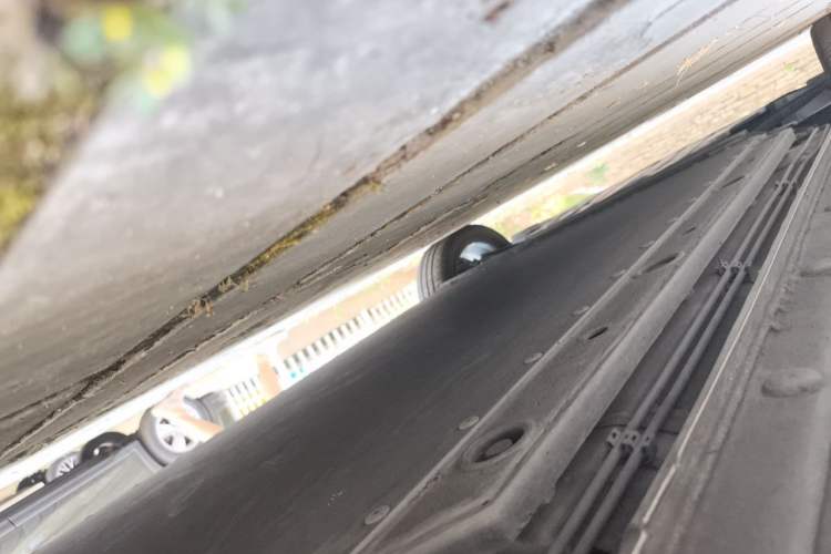 Used BYD Seagull 2023 Flying Edition Chassis Rear Left