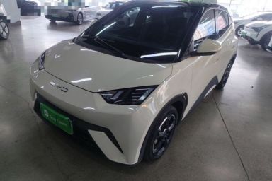 Used BYD Seagull 2023 Flying Edition