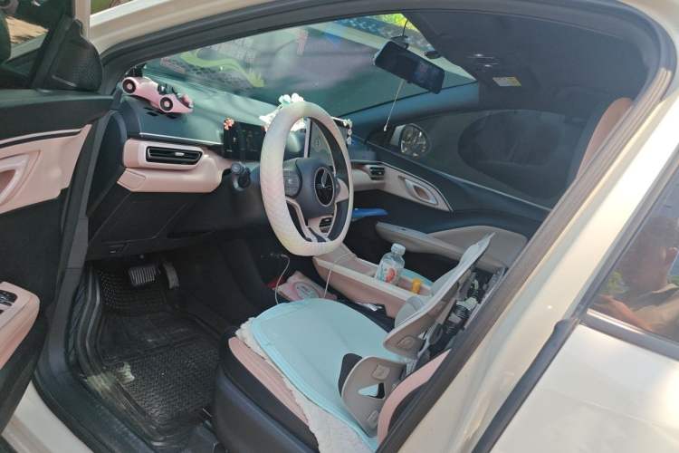 Used BYD Seagull 2023 Active Version Driver Seat