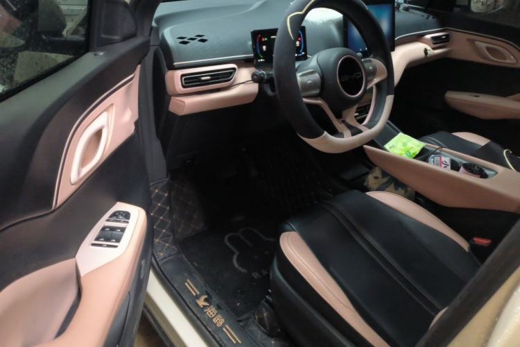 Used BYD Seagull 2023 Active Version Driver Seat