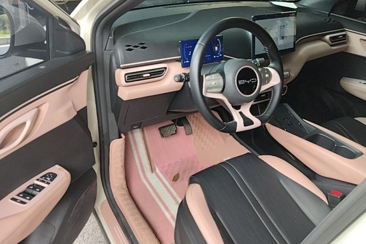 Used BYD Seagull 2023 Flying Edition Driver Seat