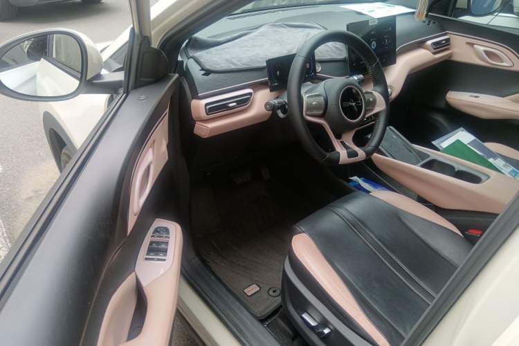 Used BYD Seagull 2023 Flying Edition Driver Seat
