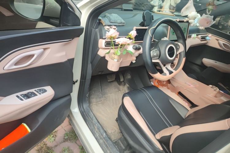 Used BYD Seagull 2023 Active Version Driver Seat