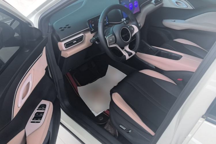 Used BYD Seagull 2023 Free Edition Driver Seat