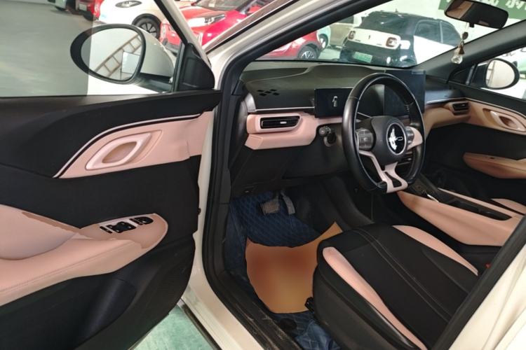 Used BYD Seagull 2023 Free Edition Driver Seat