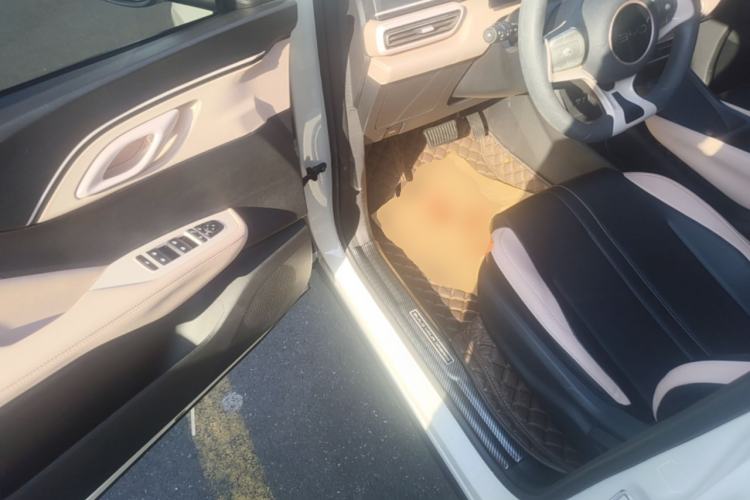 Used BYD Seagull 2023 Active Version Driver Seat