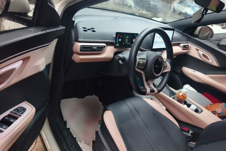 Used BYD Seagull 2023 Flying Edition Driver Seat
