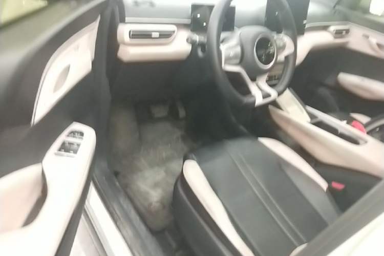 Used BYD Seagull 2023 Free Edition Driver Seat