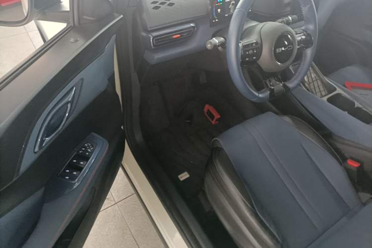 Used BYD Seagull 2023 Free Edition Driver Seat
