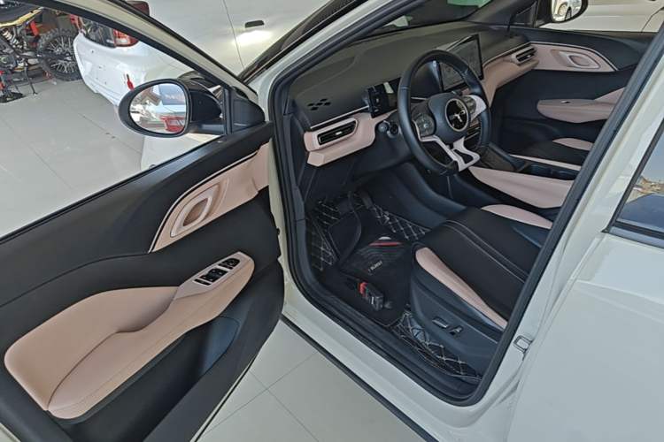 Used BYD Seagull 2023 Flying Edition Driver Seat
