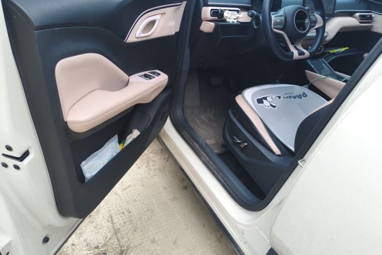 Used BYD Seagull 2023 Flying Edition Driver Seat