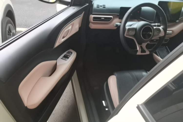 Used BYD Seagull 2023 Flying Edition Driver Seat