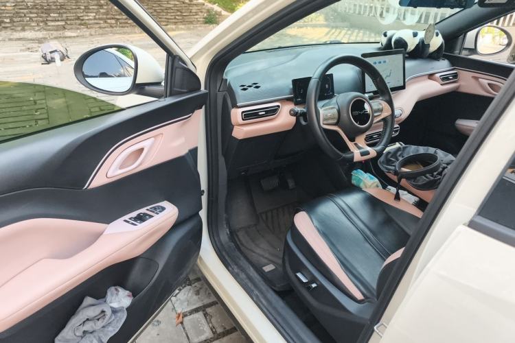 Used BYD Seagull 2023 Flying Edition Driver Seat