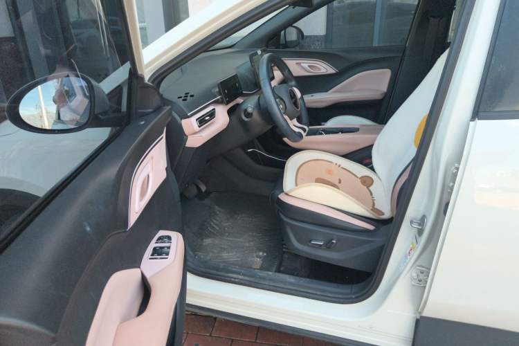 Used BYD Seagull 2023 Flying Edition Driver Seat