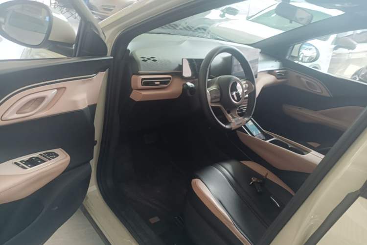 Used BYD Seagull 2023 Free Edition Driver Seat