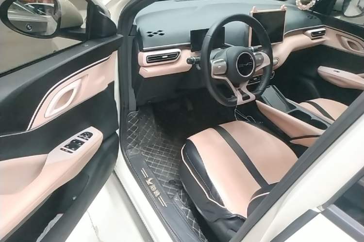 Used BYD Seagull 2023 Free Edition Driver Seat
