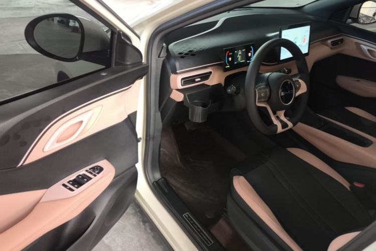 Used BYD Seagull 2023 Active Version Driver Seat