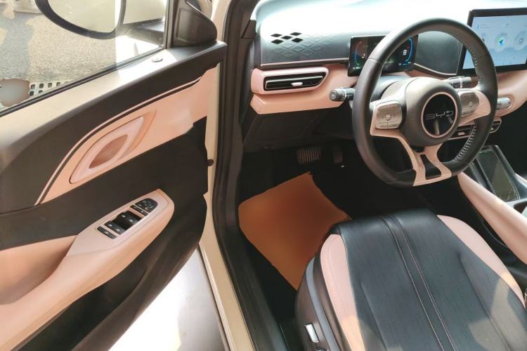 Used BYD Seagull 2023 Flying Edition Driver Seat
