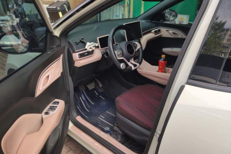 Used BYD Seagull 2023 Active Version Driver Seat