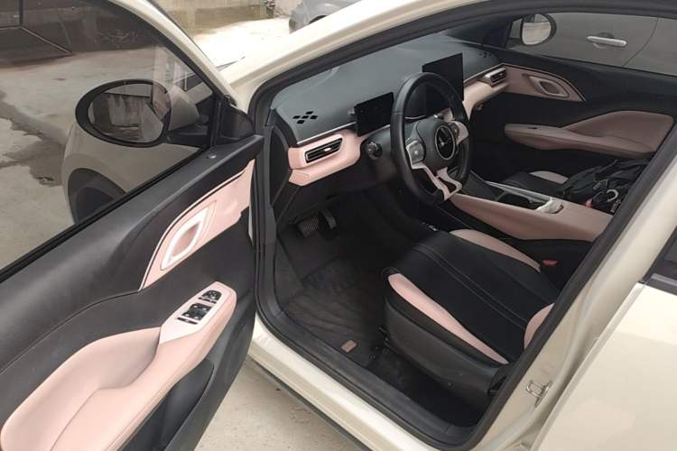 Used BYD Seagull 2023 Free Edition Driver Seat