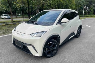 Used BYD Seagull 2023 Flying Edition