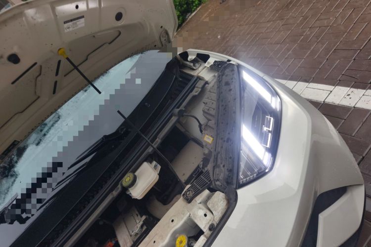 Used BYD Seagull 2023 Flying Edition Engine Bay Left