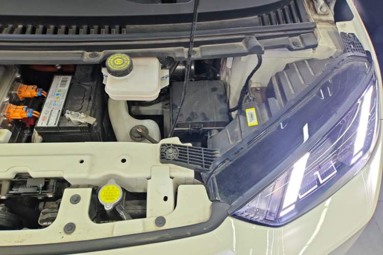 Used BYD Seagull 2023 Flying Edition Engine Bay Left