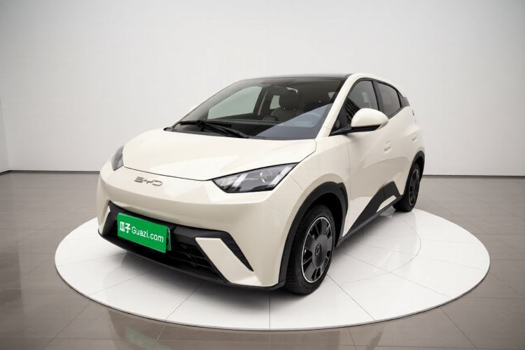 Used BYD Seagull 2023 Active Version Guazi used car, China used car export, Used car for sale, Used  cars, Cheapest cars for sale